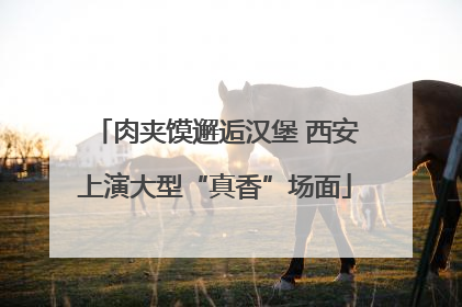 肉夹馍邂逅汉堡 西安上演大型“真香”场面